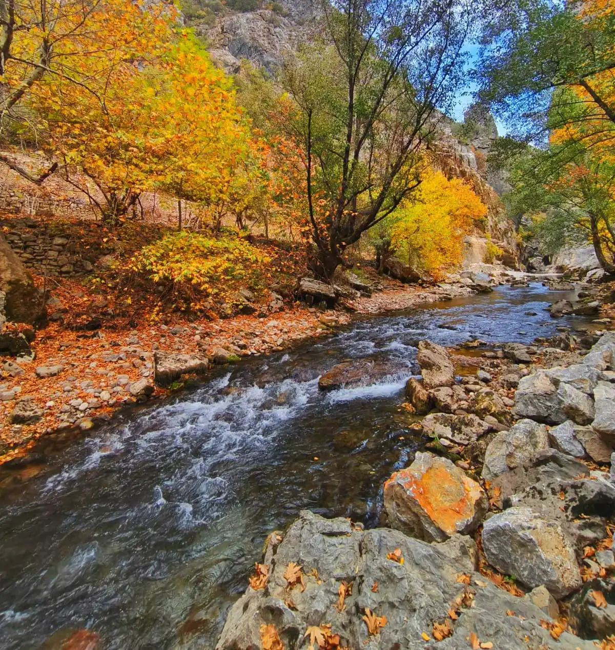 AKYARI  MAHALLESİ STRESTEN UZAK 187 M2 SATILIK BAHÇE!