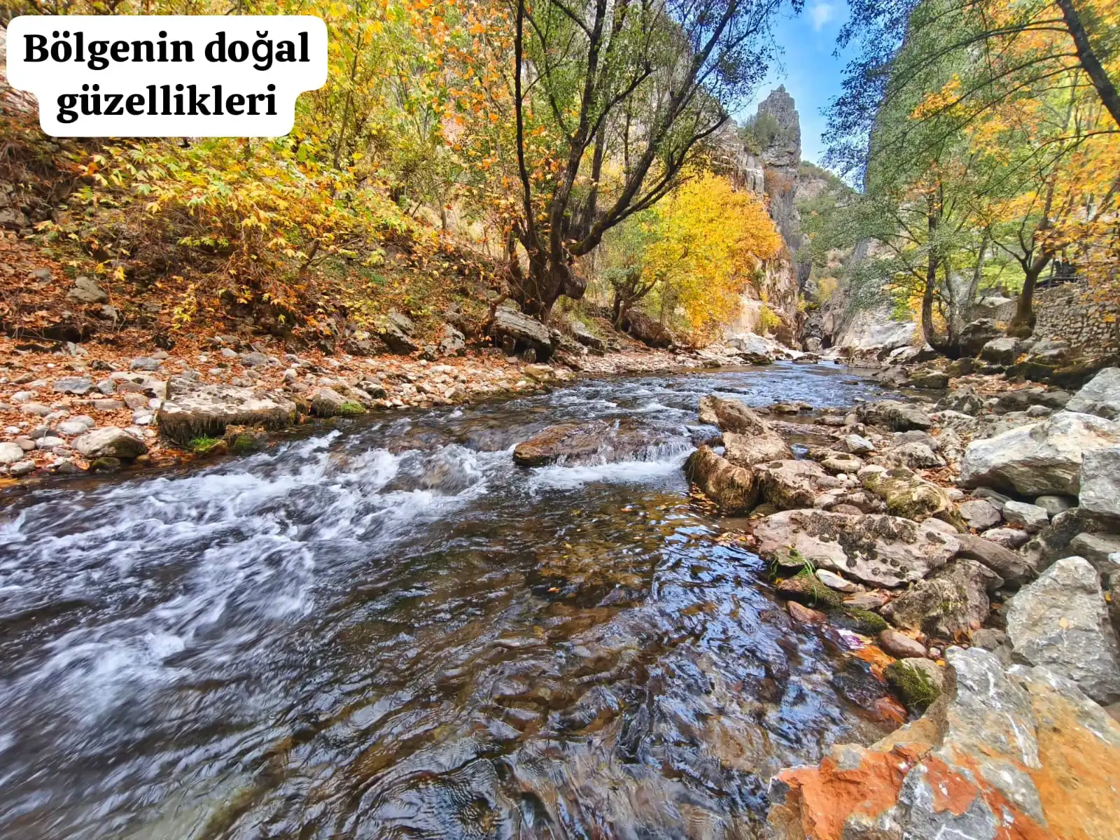 AKYARI  MAHALLESİ STRESTEN UZAK 187 M2 SATILIK BAHÇE!