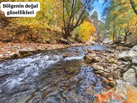 AKYARI  MAHALLESİ STRESTEN UZAK 187 m² SATILIK BAHÇE! - photo 4